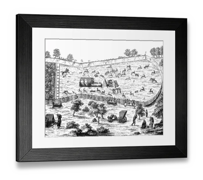 Framed Print : View of hunting, main hunt or ceremonial hunt for the entertainment of the court and the nobility