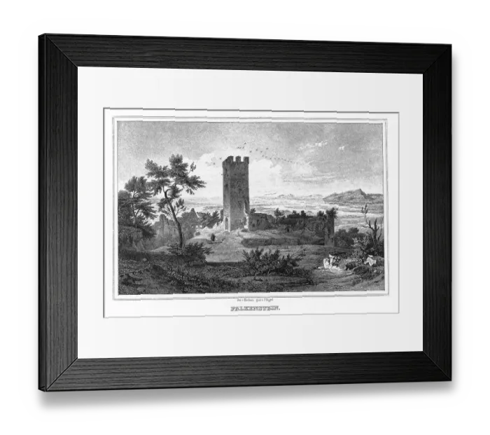 Framed Print : Ruin Falkenstein in the Inn valley