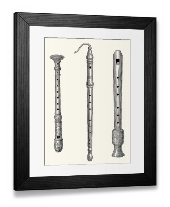 Framed Print : Various forms of old woodwind instruments