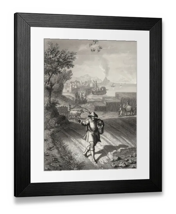 Framed Print : Parable of the sower, New Testament