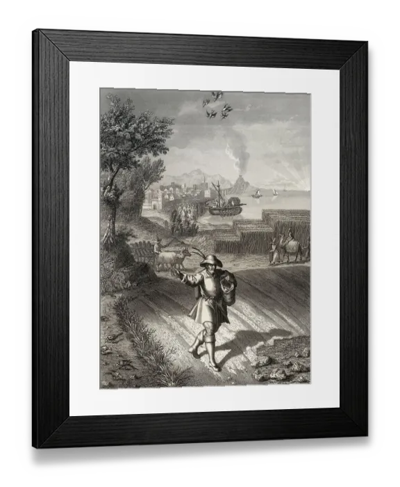 Framed Print : Parable of the sower, New Testament