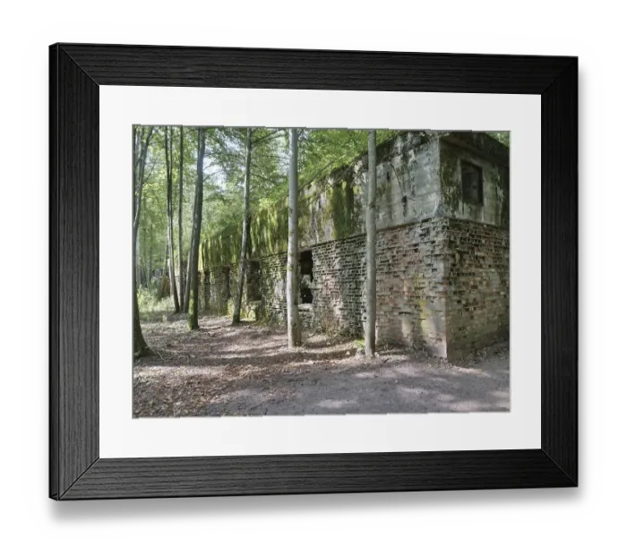 Framed Print : Ruins of the Wolf's Lair (also Wolf's Lair or Goerlitz) Framed Print : Ruins of the Wolf's Lair (also Wolf's Lair or Goerlitz)