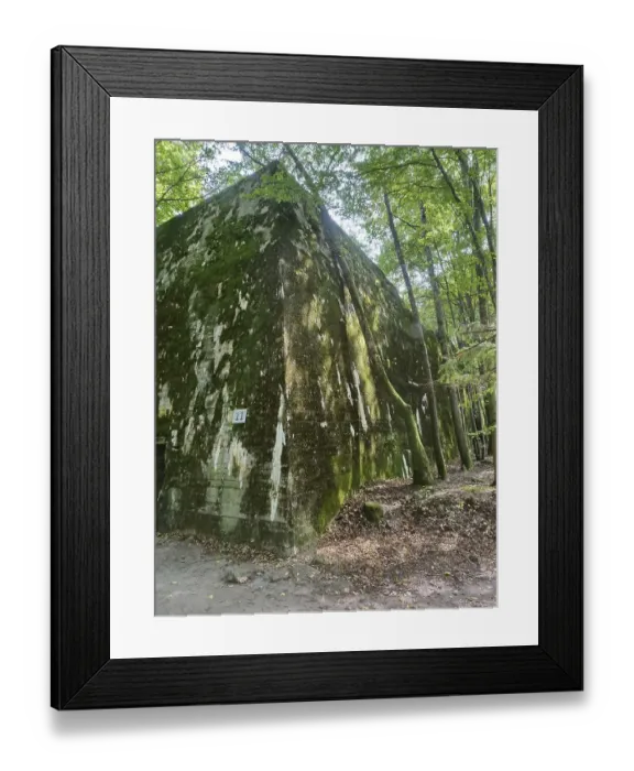 Framed Print : Ruins of the Wolf's Lair (also Wolf's Lair or Goerlitz)