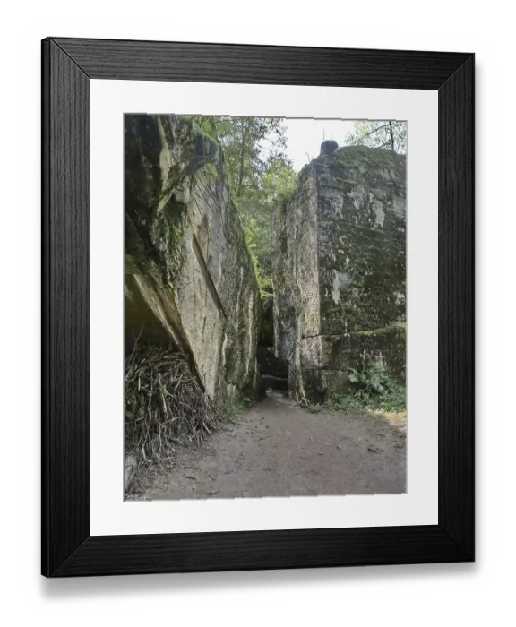 Framed Print : Ruins of the Wolf's Lair (also Wolf's Lair or Goerlitz) Framed Print : Ruins of the Wolf's Lair (also Wolf's Lair or Goerlitz)