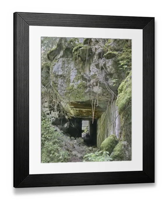 Framed Print : Ruins of the Wolf's Lair (also Wolf's Lair or Goerlitz) Framed Print : Ruins of the Wolf's Lair (also Wolf's Lair or Goerlitz)