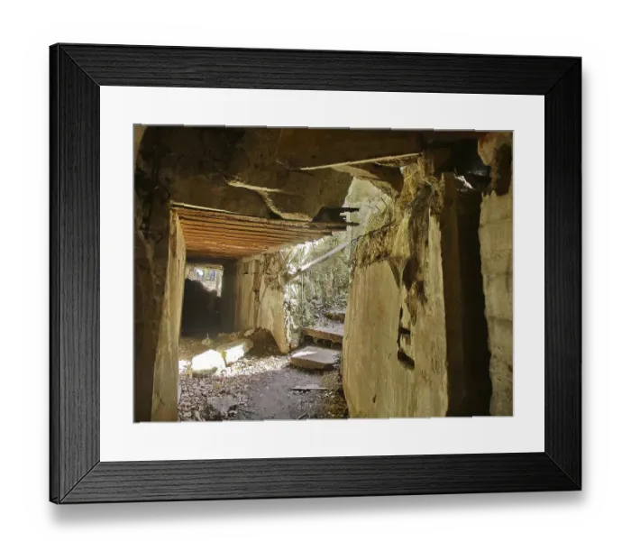 Framed Print : Ruins of the Wolf's Lair (also Wolf's Lair or Goerlitz)