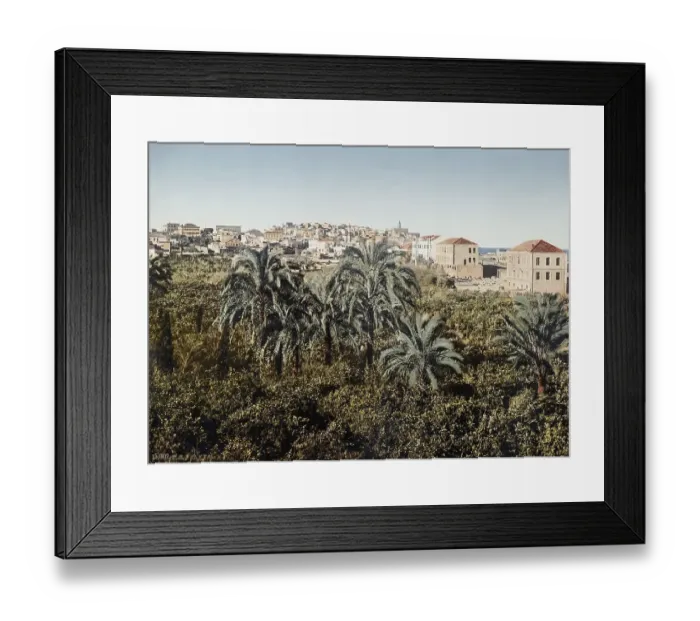 Framed Print : Jaffa, Palestine, Holy Land, photochrome print around 1890