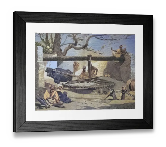Framed Print : Fountain in Upper Egypt, the water is drawn with the help of an ox Framed Print : Fountain in Upper Egypt, the water is drawn with the help of an ox