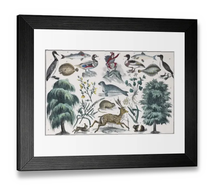 Framed Print : Zone painting Northern Europe, Great Britain Framed Print : Zone painting Northern Europe, Great Britain
