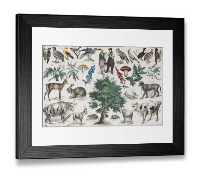 Framed Print : Zone painting Central Europe, german lowlands