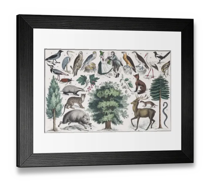 Framed Print : Zone painting Central Europe, The Alpine Country