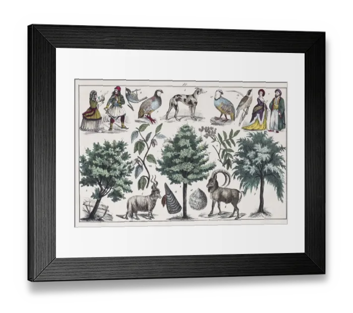 Framed Print : Zone painting South Europe, greek-turkish peninsula
