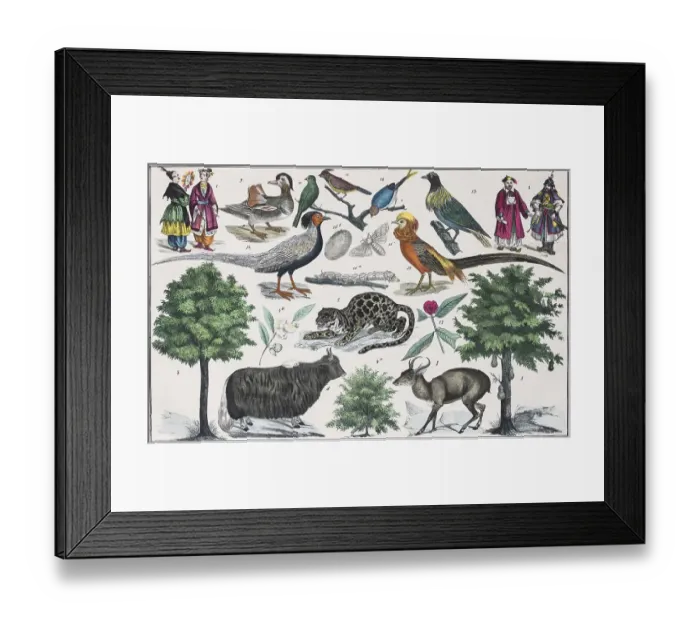 Framed Print : Zone painting East Asia, the South Chinese Alpine country