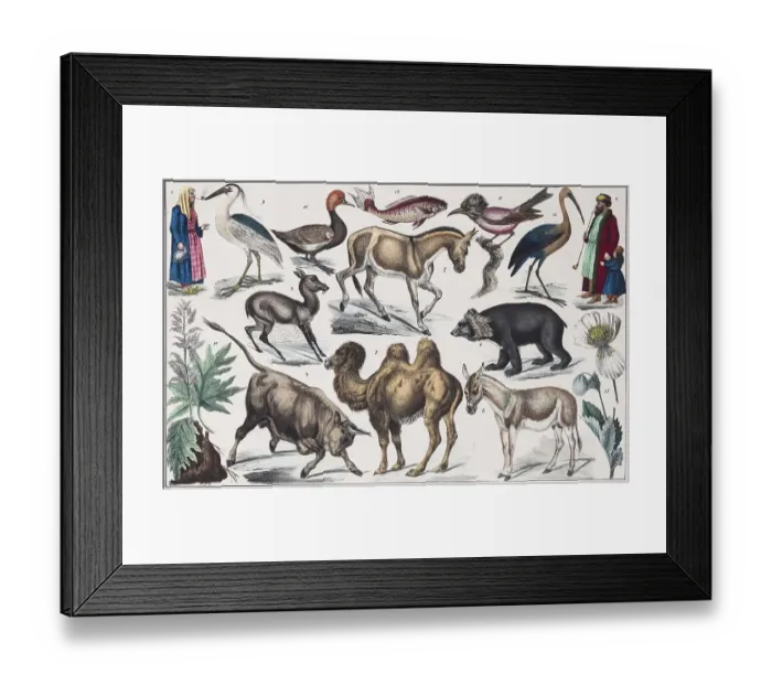 Framed Print : Zone-paintings of Central Asia Framed Print : Zone-paintings of Central Asia