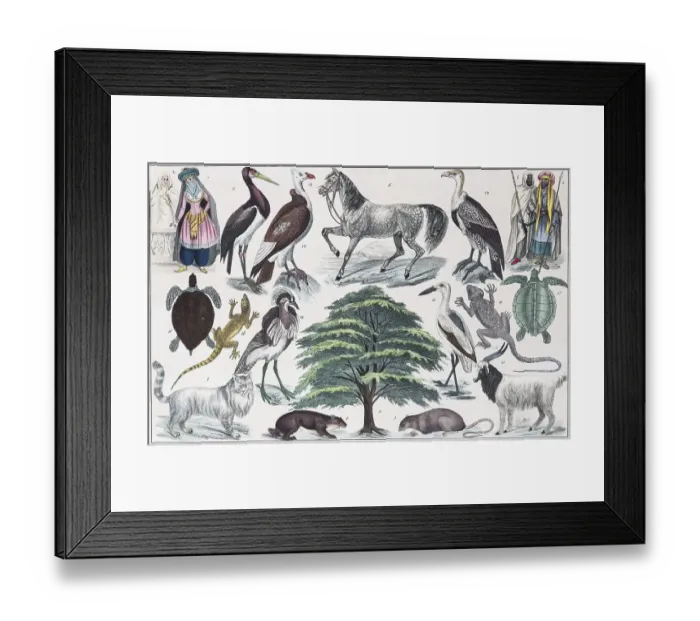 Framed Print : Zone-paintings West Asia, Asia Minor