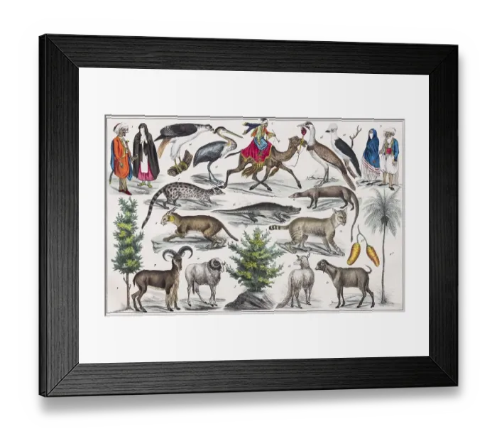 Framed Print : Zone painting North Africa, highland of Berbery Framed Print : Zone painting North Africa, highland of Berbery