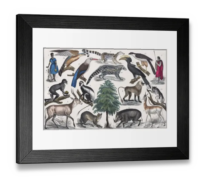 Framed Print : Zone painting, Central Africa, tropical zone