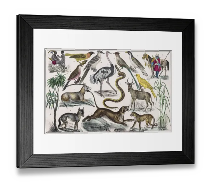 Framed Print : Zone painting, Middle Africa, Upper Guinea Framed Print : Zone painting, Middle Africa, Upper Guinea