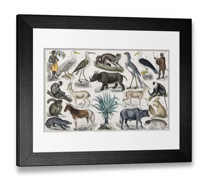 Framed Print : Zone painting, South Africa, Kapland