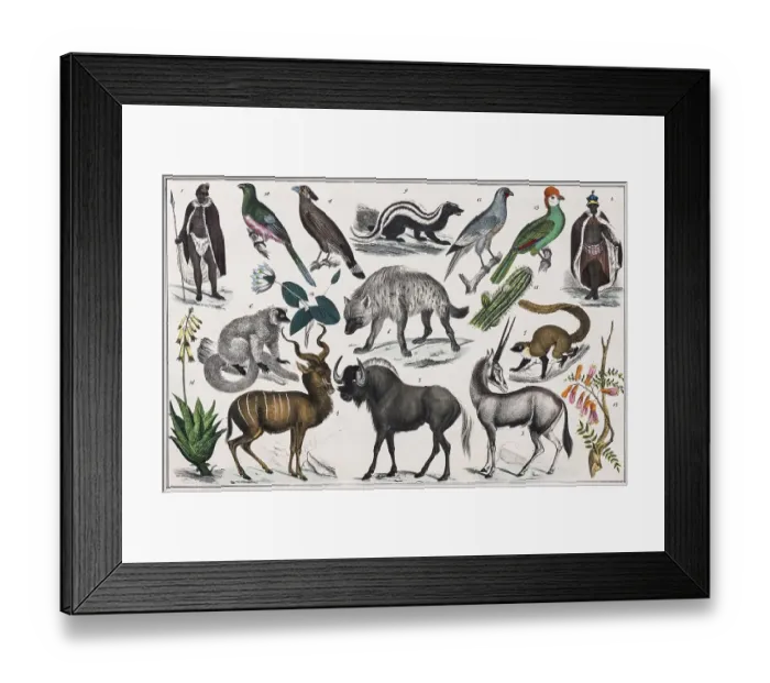 Framed Print : Zone painting, South Africa, Madagascar