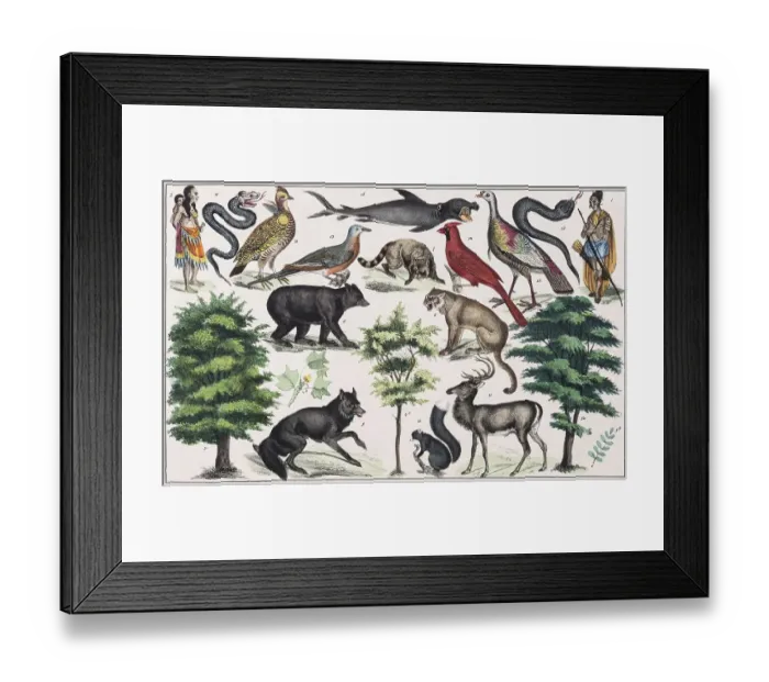 Framed Print : Zone painting North America, United States Framed Print : Zone painting North America, United States