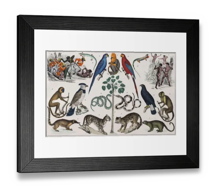 Framed Print : Zone painting, South America, Brazil