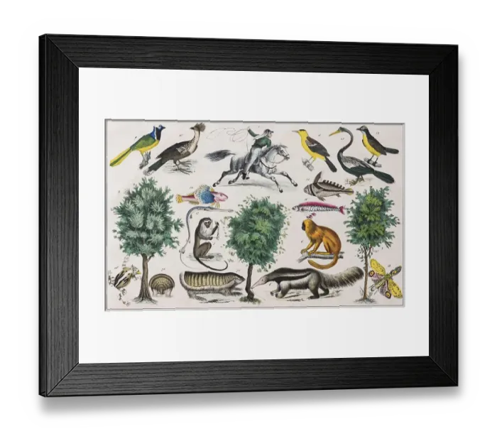 Framed Print : Zone Painting South America, Chile