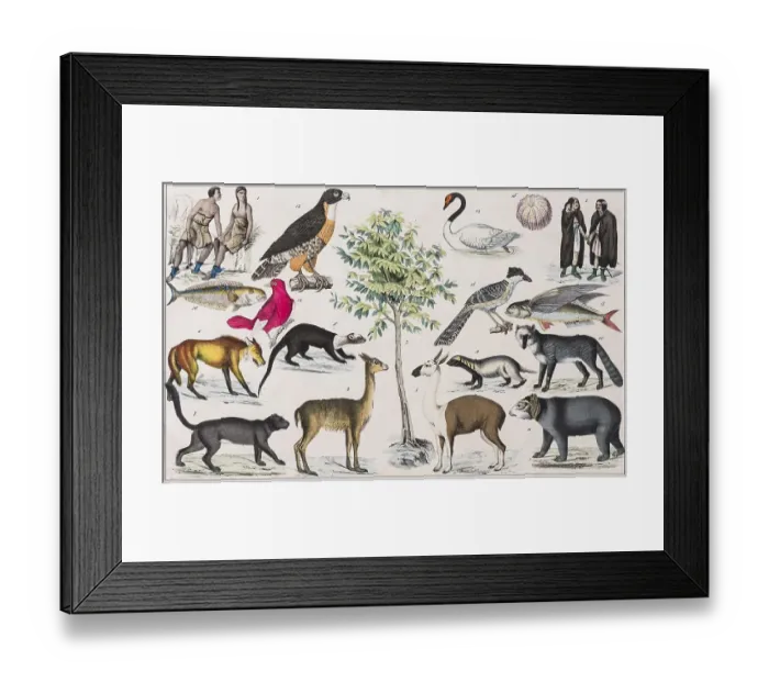 Framed Print : Zone painting, South America, Patagonia