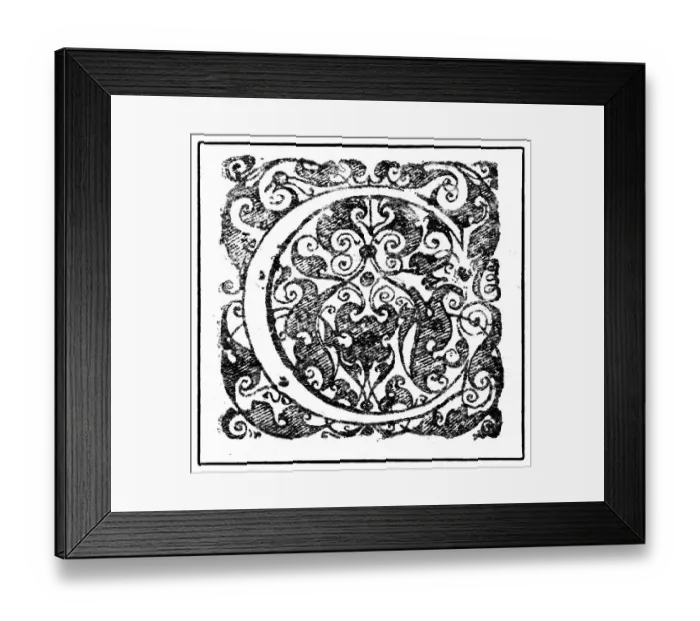 Framed Print : Initial or an initial C, ornamental initial letter