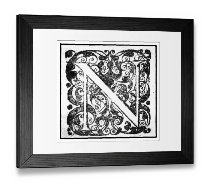 Framed Print : Initial or an initial N, ornamental initial letter