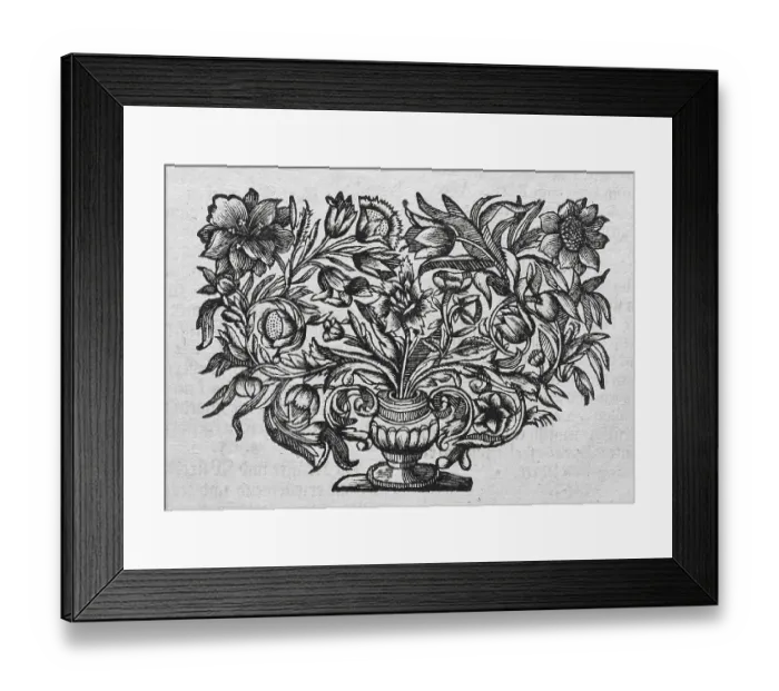 Framed Print : Bouquet in Vase, copperplate engraving from Museum Museorum Framed Print : Bouquet in Vase, copperplate engraving from Museum Museorum