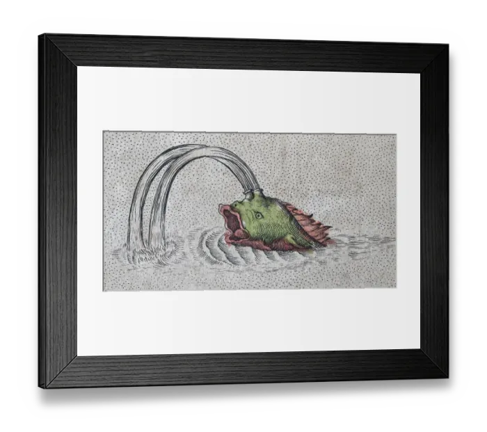 Framed Print : Sea monster, hand-coloured Iceland copperplate engraving by Gerhard Mercator Framed Print : Sea monster, hand-coloured Iceland copperplate engraving by Gerhard Mercator