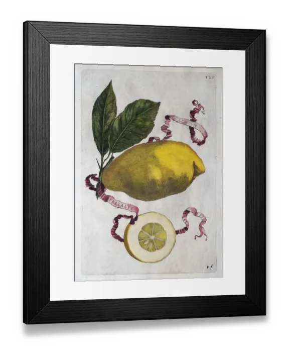 Framed Print : Simon Imperiales, citrus fruit Framed Print : Simon Imperiales, citrus fruit