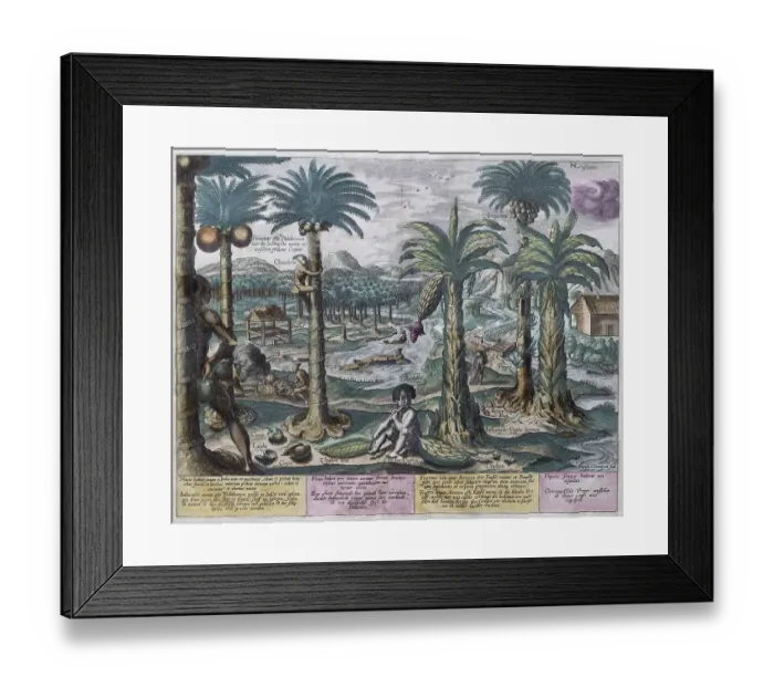 Framed Print : Exotic fruits and plants, including banana and coconut palm Framed Print : Exotic fruits and plants, including banana and coconut palm