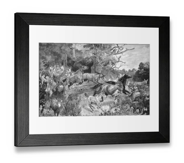 Framed Print : Herd of horses flees from the paddock because of a forest fire
