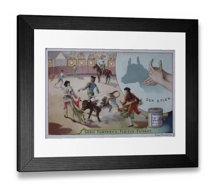 Framed Print : Picture series shadow plays, the bull Framed Print : Picture series shadow plays, the bull