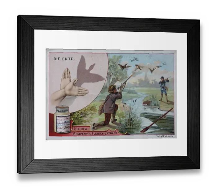 Framed Print : Picture series shadow plays, the duck Framed Print : Picture series shadow plays, the duck