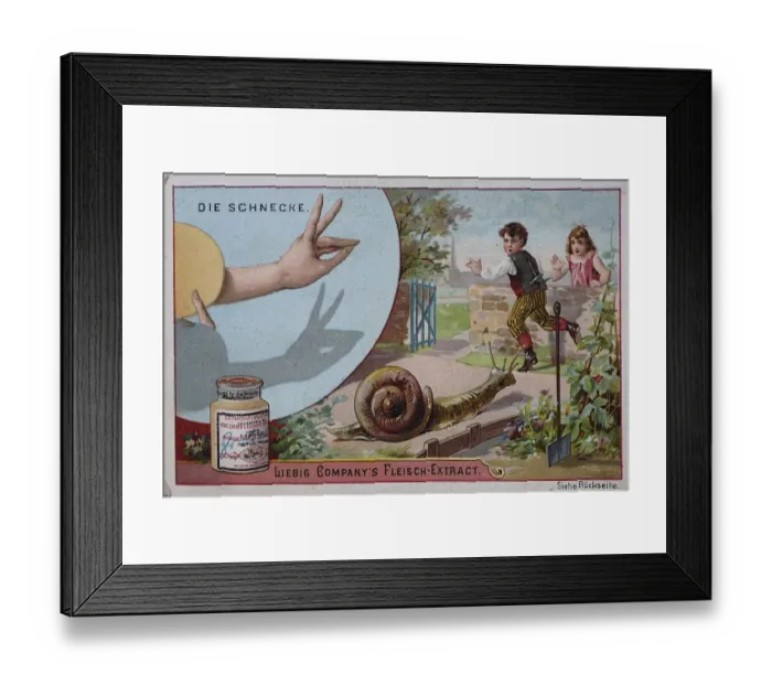 Framed Print : Picture series shadow plays, the snail Framed Print : Picture series shadow plays, the snail