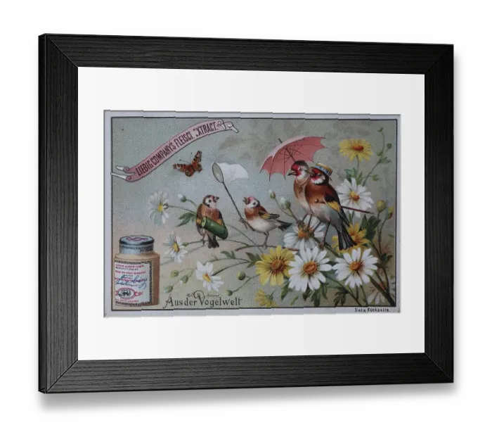 Framed Print : Picture series From the World of Birds