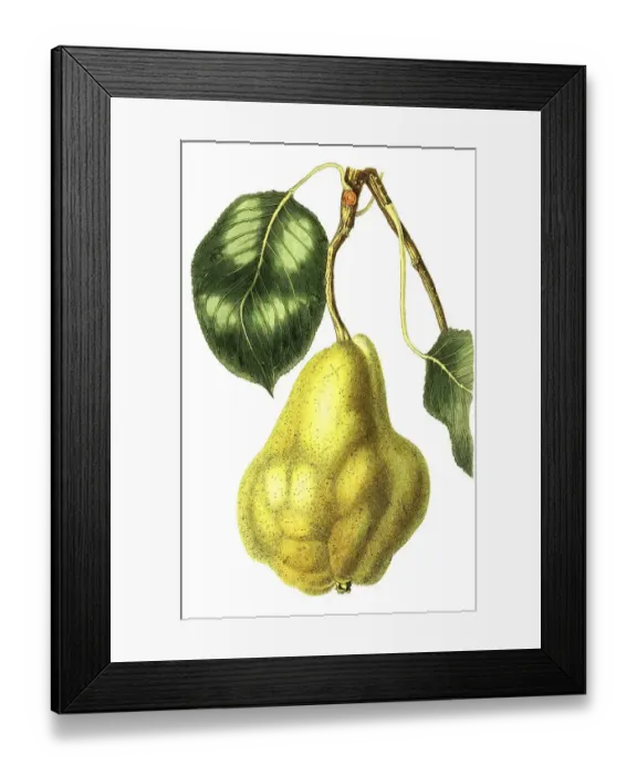 Framed Print : Pear Williams Christ, digital reproduction of an original from the 19th century Framed Print : Pear Williams Christ, digital reproduction of an original from the 19th century