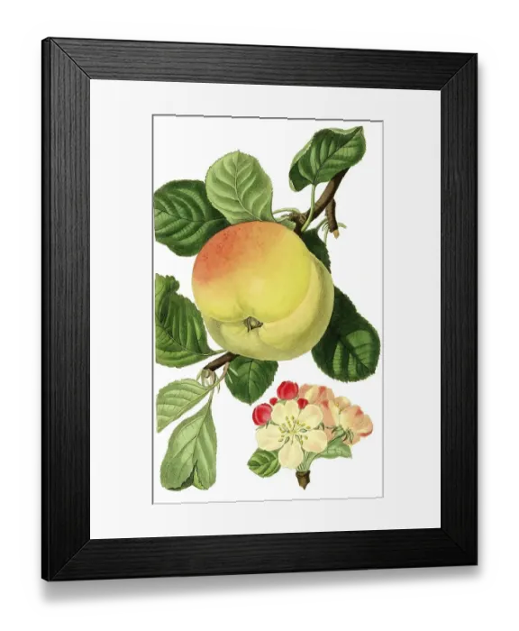Framed Print : Apple of Hawthornden, Hawthornden for short