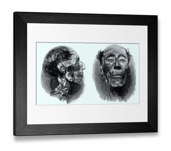Framed Print : The Mummy of Ramses II (c. 1303 BC 27 June 1213 BC) was the third ancient Egyptian king