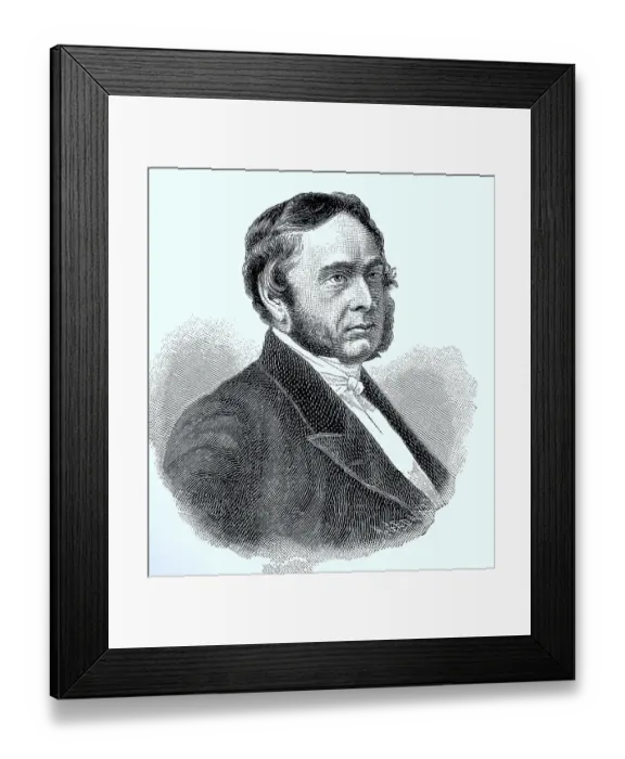 Framed Print : Portrait of Eugene Rouher, 30 silver hake (1814) Framed Print : Portrait of Eugene Rouher, 30 silver hake (1814)