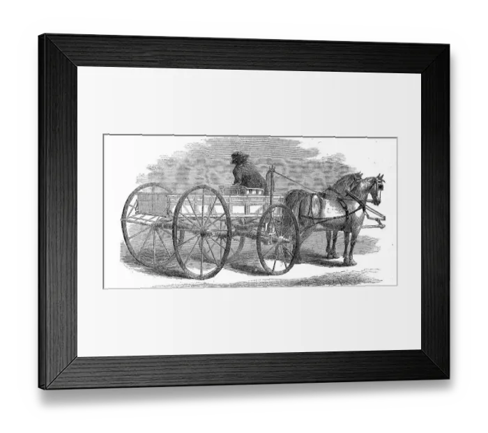 Framed Print : An automatic rein holder on the carriage of a team of horses Framed Print : An automatic rein holder on the carriage of a team of horses