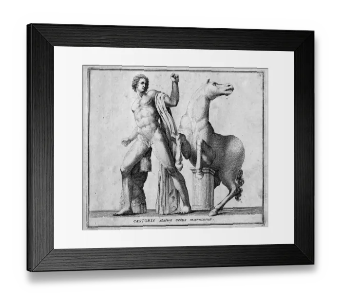 Framed Print : Castor, one of the sons of Zeus
