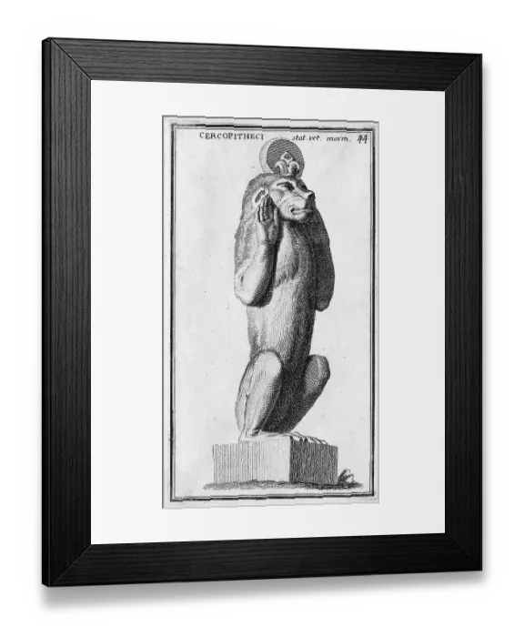 Framed Print : A marble statue of a monkey from the Museum of the Capitol