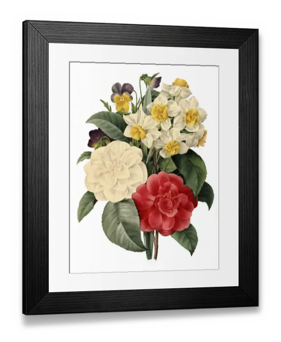 Framed Print : Bouquet of Camellias, Daffodils and Pansies