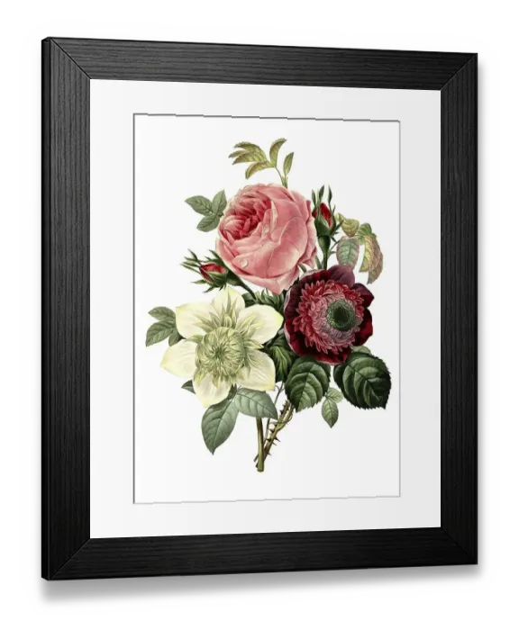 Framed Print : Rose, Anemone and Clematide Bouquet