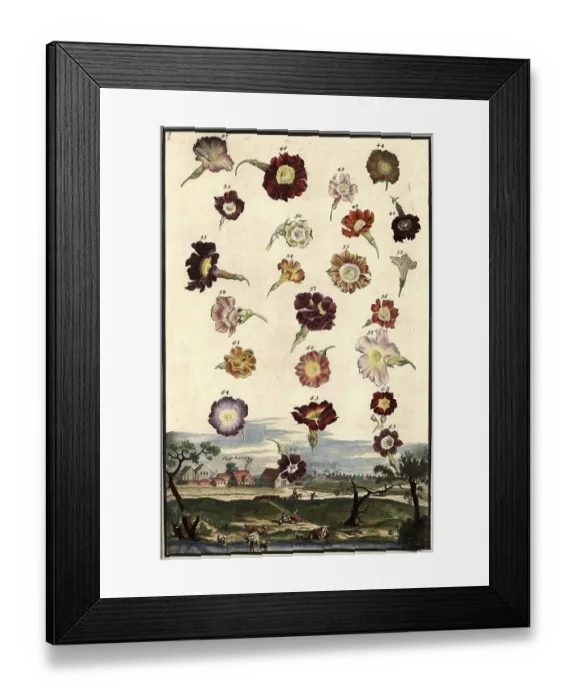 Framed Print : Blossoms and view of Cleishamer and Zabelshof Framed Print : Blossoms and view of Cleishamer and Zabelshof