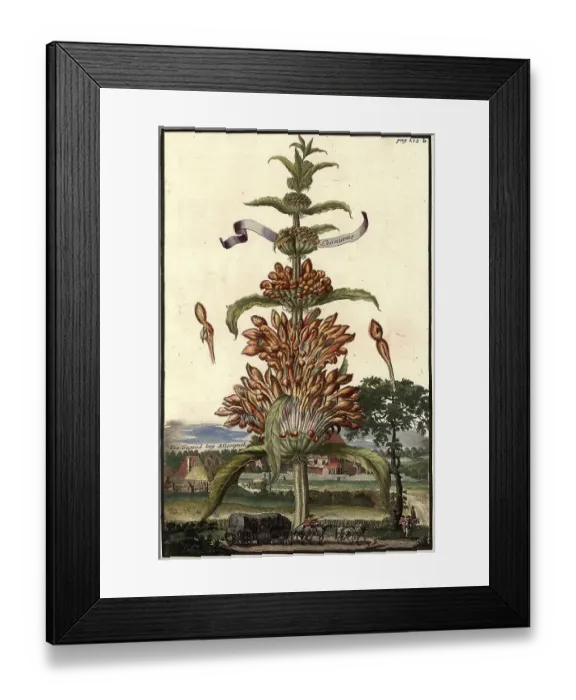 Framed Print : Leonorus and the area near Allerspach